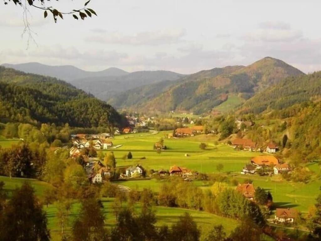 Oberbauernhof - Wohnung "Am Garten" -- Moderne Fewo Im Schoenen Schwarzwaldhaus 구타흐 외부 사진